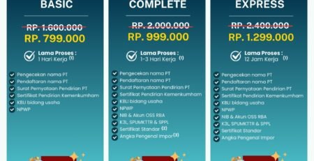 Biaya Jasa Buat PT Perorangan